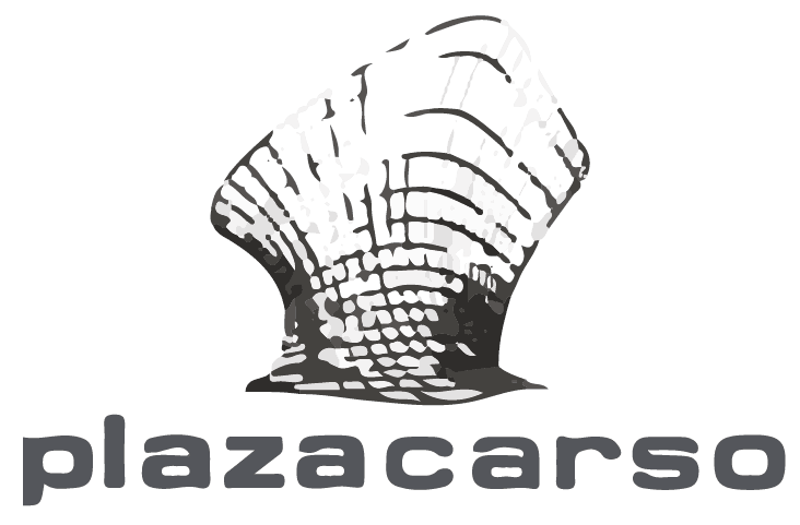 plazacarso